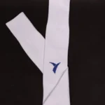 ساق پا