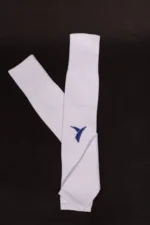 ساق پا
